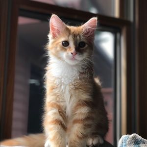 Meet your Posher, Brendan